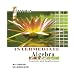 Intermediate Algebra: Concepts and Applications (7th Edition)