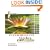 Intermediate Algebra: Concepts and Applications (7th Edition) (Bittinger Developmental Mathematics Series)