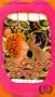 La Grande Bouffe [VHS]