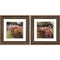 Set of 2 Cosmos Wall Art - 21 x 21"
