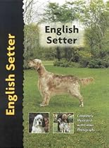 English Setter (Pet Love Dog Breed)