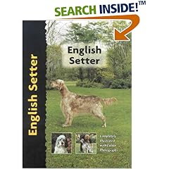 English Setter (Pet Love Dog Breed)