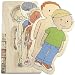 Beleduc Your Body - Boy 5-Layer Puzzle