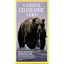 National Geographic's Giant Bears of Kodiak Island [VHS]