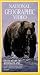 National Geographic's Giant Bears of Kodiak Island