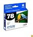 Epson 78 Black Ink Cartridge (T078120)