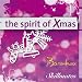 The Spirit of Xmas (Radio Edit)