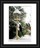 Framed Print of Cat - black a white cat climbing up a bird feeding table in snow from Ardea