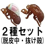 æ�� �� �Ƥλפ��� �Υ�ե饤-���֥饼�� ��2�糧�å�[����(æ����)�����ߤ�ȴ����]��