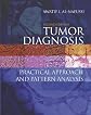 Tumor Diagnosis: Practical Approach and Pattern Analysis (Hodder Arnold Publication)