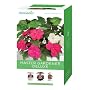 AeroGarden Master Gardener Deluxe - 3 Seasons 6-Pods without Seeds