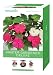AeroGarden Master Gardener Deluxe - 3 Seasons 6-Pods without Seeds