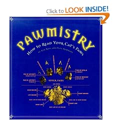 Pawmistry: How to Read Your Cat's Paws