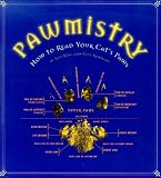 Pawmistry: How to Read Your Cat's Paws