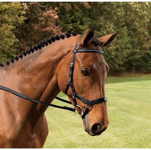 Micklem Competition Diamond Bridle Black Horse by Micklem