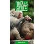 Trials of Life: Friends & Rivals [VHS]