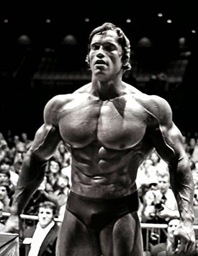 Arnold Schwarzenegger fabric poster 32"x24" / 17"x13" by okitem