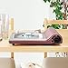 Iwatani Cassette grill Slim II (tatsujin slim II) CB-TAS-1