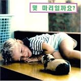 How Many? (Korean edition)