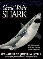 Great White Shark