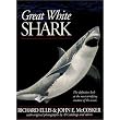 Great White Shark ~ Richard Ellis