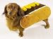 Pet Supplies : Dog Costume - Hot Diggity Dog Halloween Costume (Hot Dog w/Mustard) - Large