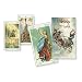 Vikings Tarot (English and Spanish Edition)