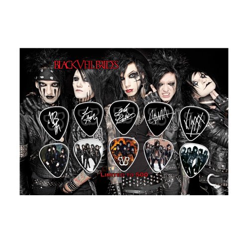 Black Veil Brides Andy Biersack 10 Guitar Picks Set Display #1