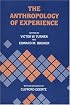 The Anthropology of Experience