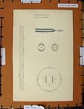 Antique Print C1800-1870 Acoustics Sound Wave Tuning