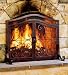 Small 2-Door Finished Tubular-Steel Crest Fire Screen with Solid Steel Scrolls in Black