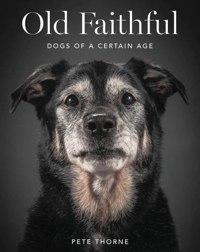 Old Faithful: Dogs of a Certain Age Old Faithful: Dogs of a Certain Age