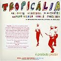 Tropicalia: A Brasilian Revolution In Sound