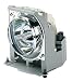 Photo : ViewSonic RLC-150-003 Replacement Lamp for PJ550 and PJ551 Projectors