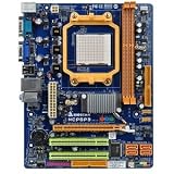 Picture of BIOSTAR NVIDIA GeForce 6150 / nForce 430