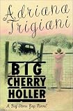 Big Cherry Holler: A Big Stone Gap Novel (Wheeler Compass)