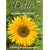 Delia Smith's Summer Collection: 140 Recipes for Summer