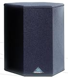Energy RVSS Rear-Channel Satellite Speakers, Black (Pair)