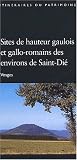 Sites de hauteur gaulois et gallo-romains des environs de Saint-Di�