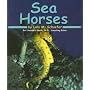 Sea Horses (Ocean Life)
