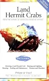 Land Hermit Crabs