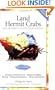 Land Hermit Crabs (Advanced Vivarium Systems)