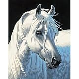 Dimensions Needlecrafts Paintworks Paint By Number, White Stallion
