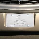 American Eagles Silver Mirrored License Plate
