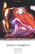 Midnight For Cinderella: Reality Check Papers  (2000-2005) (Volume 2)