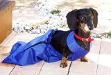 Drag Bag for Handicapped Dogs - XLarge