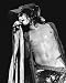 Aerosmith - Steven Tyler - Art Poster Print (16 x 20 Inches - 41cm x 51cm) 1973 Concert (Photographer: Robert Cavallo)