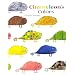 Chameleon's Colors