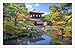 Pintoo Jigsaw Puzzles 1000 Piece for Adults - Ginkakuji - Kyoto, Japan Beautiful Plastic Puzzle for Home Decor Zero Dust Easy Storage [H1766]