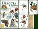 Insect and Spider Standard Poker Playing Card Deck featuring all of your favorite creepy crawlies